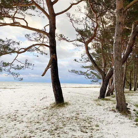 Moewennest Daire Baabe