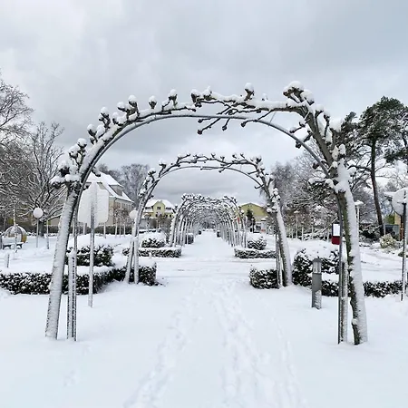 Daire Moewennest Baabe