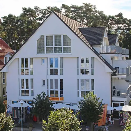 Moewennest Daire Baabe